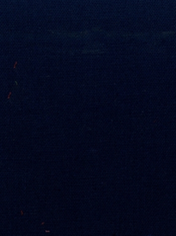 PEBBLETEX 55 NAVY Canvas Fabric