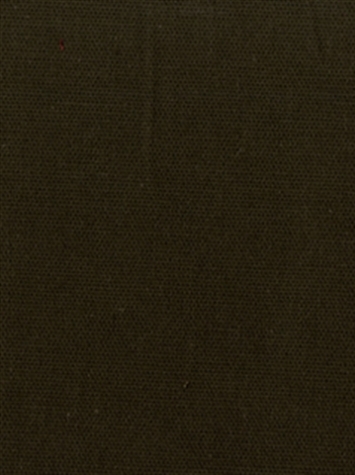 PEBBLETEX 620 JAVA Canvas Fabric