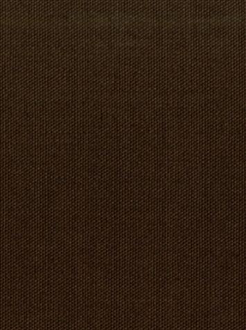 PEBBLETEX 681 BRONZE Canvas Fabric