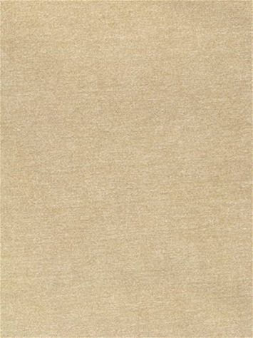 Perf Felice Biscuit P. Kaufmann Fabric 