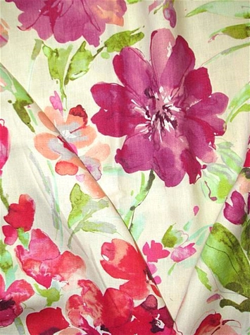 Paint Palette Orchid