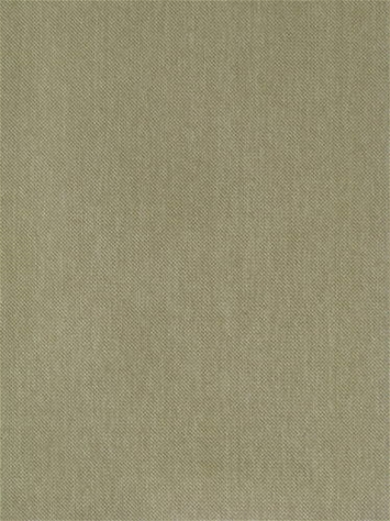 Parade Fawn Washable Fabric 