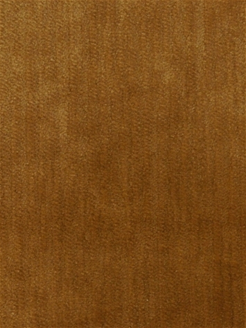 Perf Dynasty Antique INdurance Velvet P Kaufmann Fabric