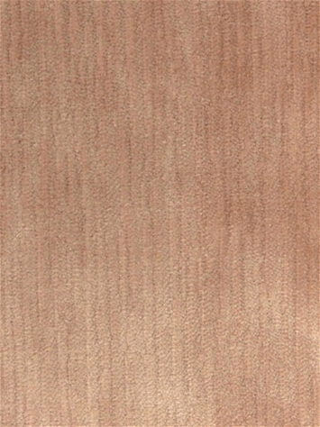 Perf Dynasty Blush INdurance Velvet P Kaufmann Fabric