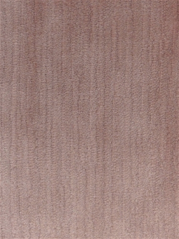 Perf Dynasty 739 Thistle INdurance Velvet P Kaufmann 