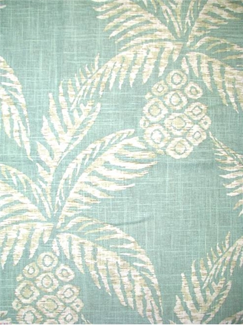 Pina 19 Aqua