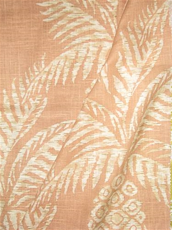 Pina Blush SC72114 124