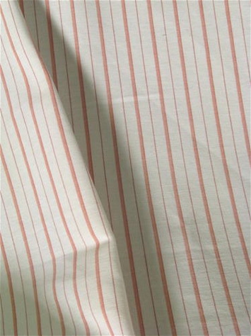 Piper Shrimp Heritage Ticking Fabric 
