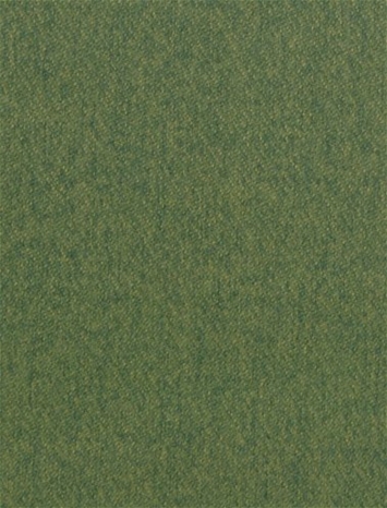 Primary Element Forest P. Kaufmann