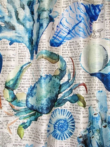 Sea Life Clarity