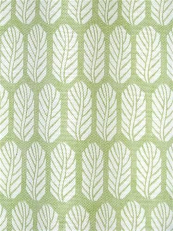 Quill Celery Feather
