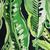 Enrique Leaf Green Print Regal Fabric