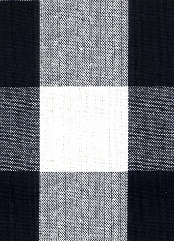 Reagan Plaid Fabric 916 Ebony Ivory