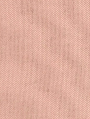 Redford 7 Blush Canvas