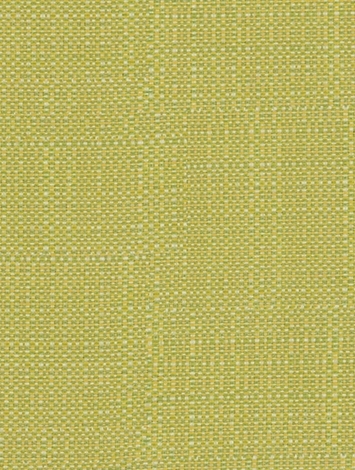 SD Clearwater 244 Acid Green