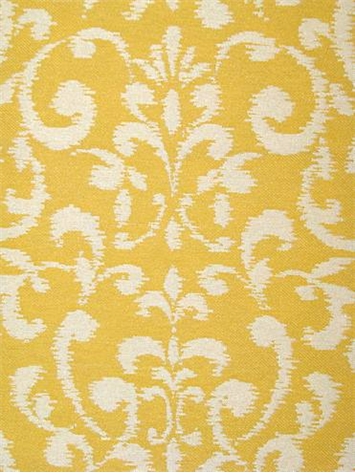 SD Cecita 8 Daffodil