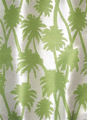 SD Little Palm 251 Island Green