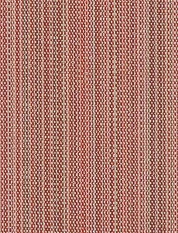 SD Tahiti 344 Spice