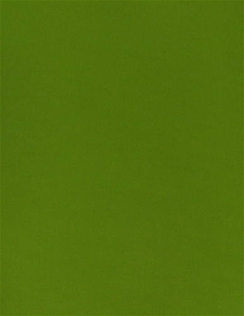 Solid Lime SunReal Performance Fabric 