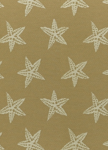 SD Star Fish 102 Sand