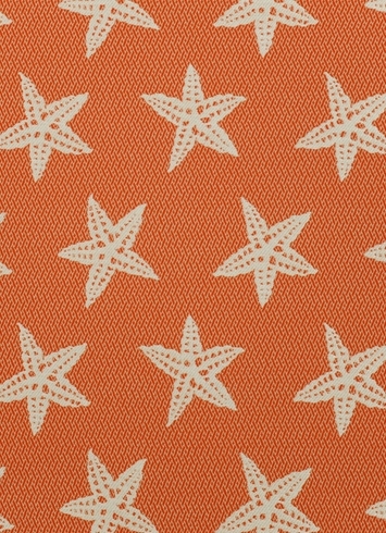SD Star Fish 33 Firecracker