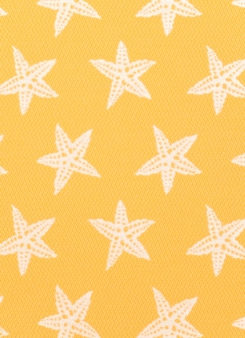 SD Star Fish 885 Sunshine