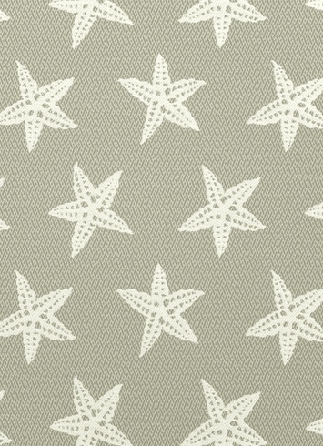 SD Star Fish 91 Smoke