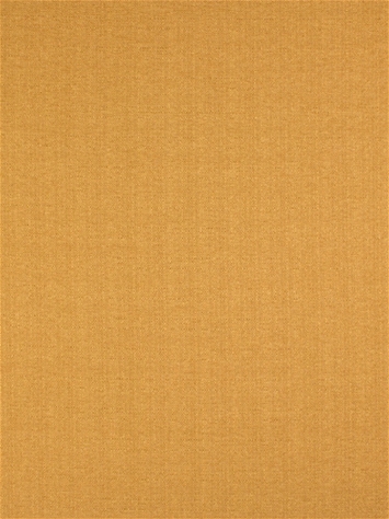 Staysail Golden Barrow Fabric 