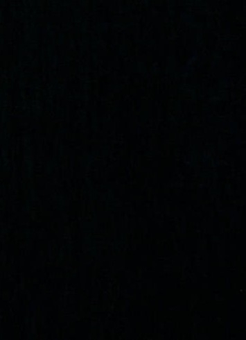 Saxony 900 Caviar Velvet