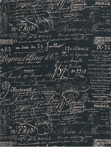 Script Blueprint