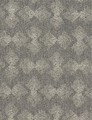 Seedling 12305 Performance Fabric