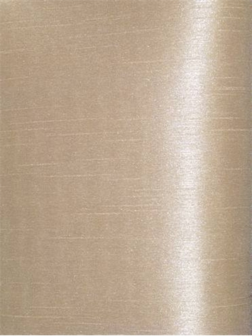 Shantung Champagne