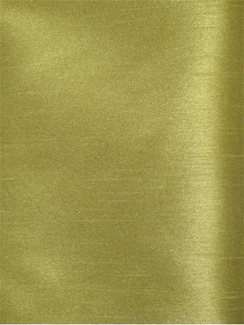 Shantung Kiwi