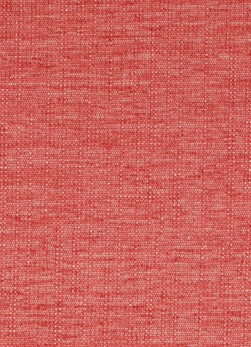 Soft Focus BK Coral