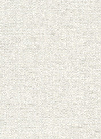 Soft Focus BK Cream