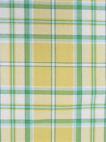 Somerset 8 Daffodil Covington Fabric