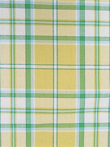 Somerset 8 Daffodil Covington Fabric