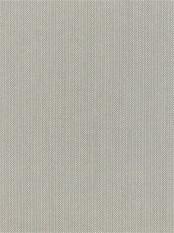 Spectrum Dove 48032-0000 Sunbrella Fabric