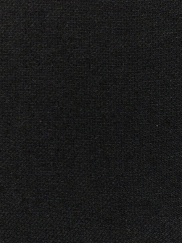 Spectrum 2001 Trade 300539-02001 Sunbrella Fabric