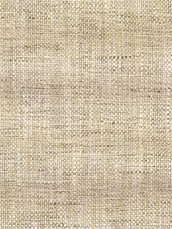 Speedy Natural P Kaufmann Fabric