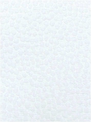 Spotty Dotty White Chenille PK Lifestyles Fabric