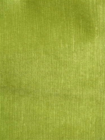 Stallone Sprout Velvet