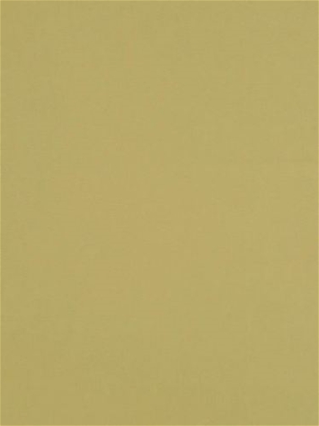 Stellar Solid Ivy Robert Allen Fabric