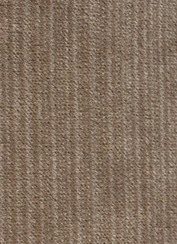 Striato Fawn Velvet