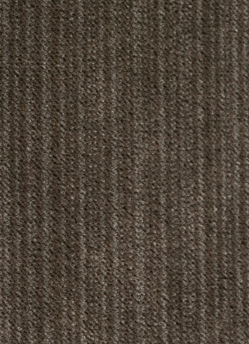 Striato Gladiator Velvet