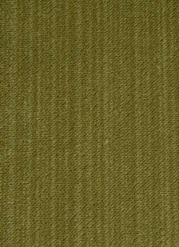 Striato Leek Velvet