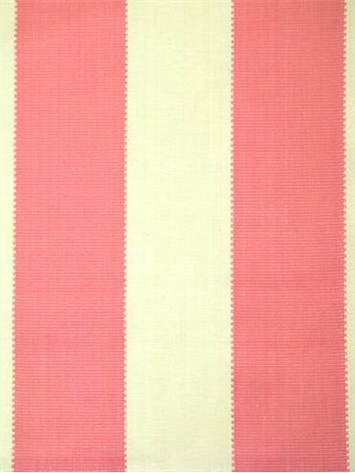 CALYPSO CORAL D2666