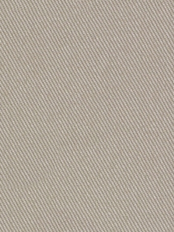 Success Twill Putty