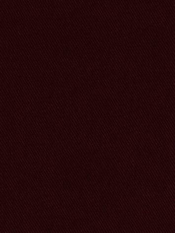 Success Twill Raisin