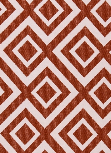 Switchback Coral